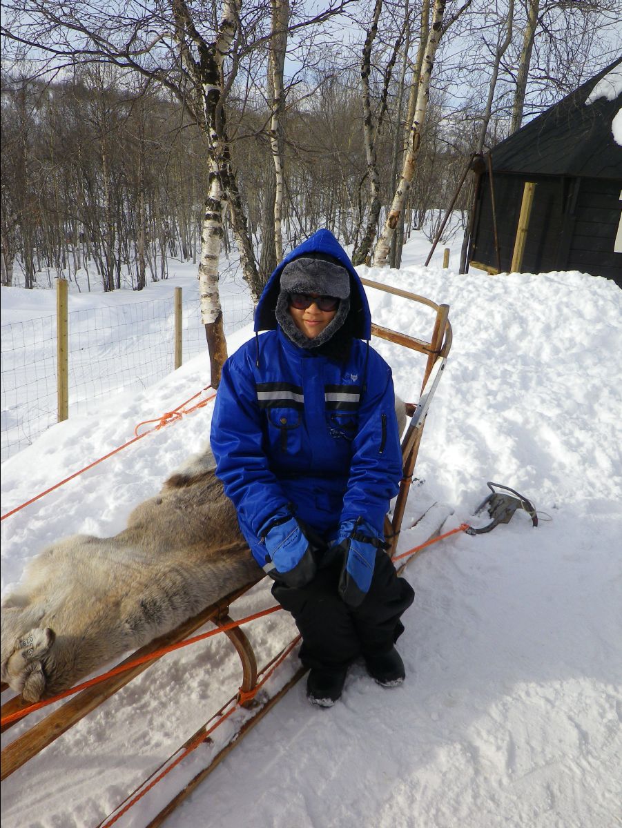Dogs sledge46